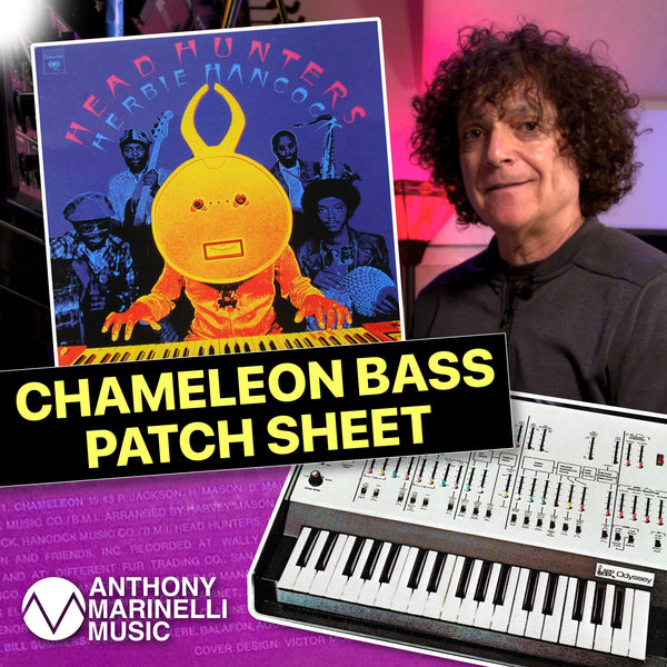 AMM Chameleon Bass Patch Sheet