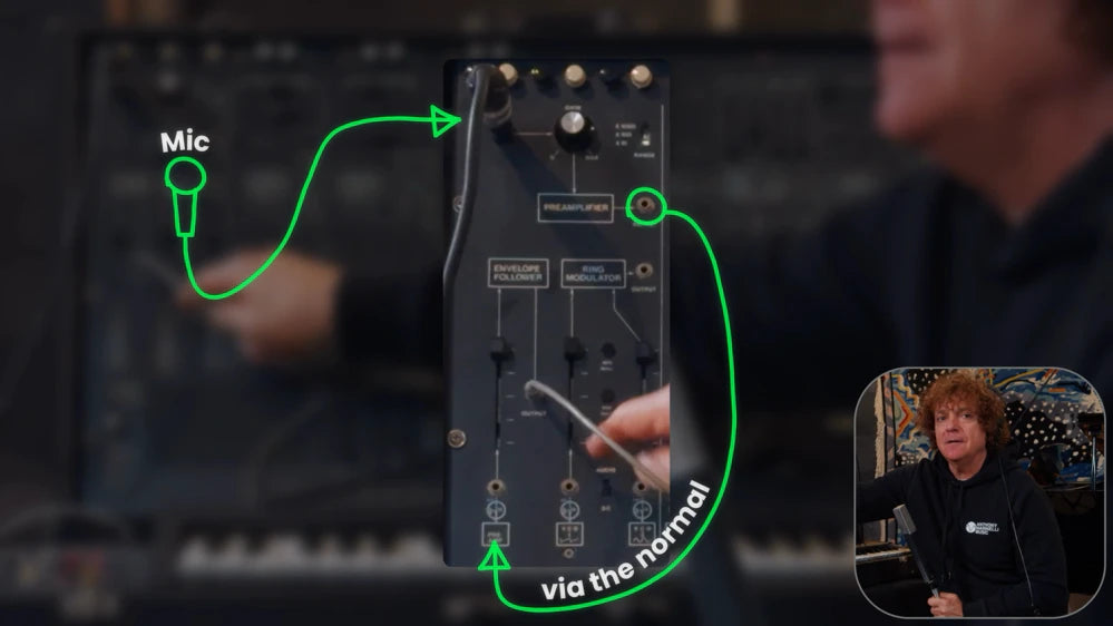 Bass DNA